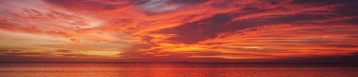 Winter 2025 Fierce Radiance