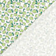 21859/050