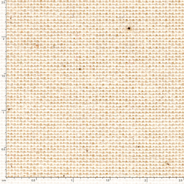 Raw Cotton fabric Unicolour Off White