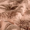 25288/014