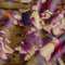 24074/054