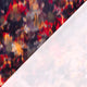 24007/016