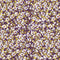 24176/045