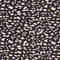 24057/068