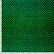 20856/025