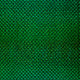 20856/025
