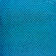 20856/004