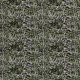 20097/025