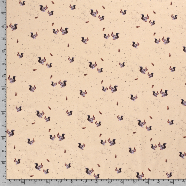 Baumwolle Jersey fabrik Eichhörnchen Beige