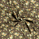 20086/058