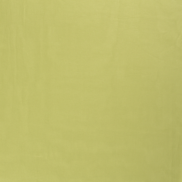 Canvas fabric Mint matte 