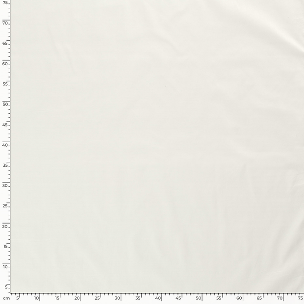 Voile fabric Unicolour Off White