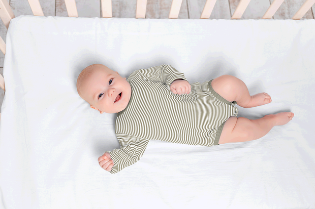 Cotton Jersey Yarn Dyed fabric Stripes Olive Green