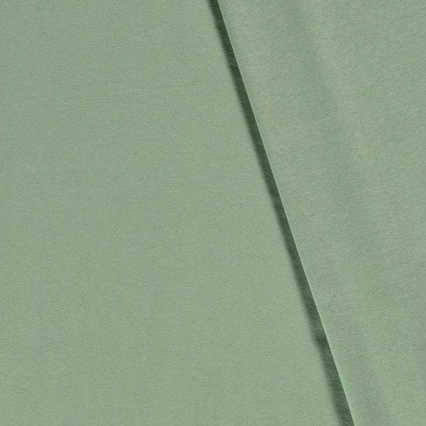 Cotton Jersey fabric Unicolour 