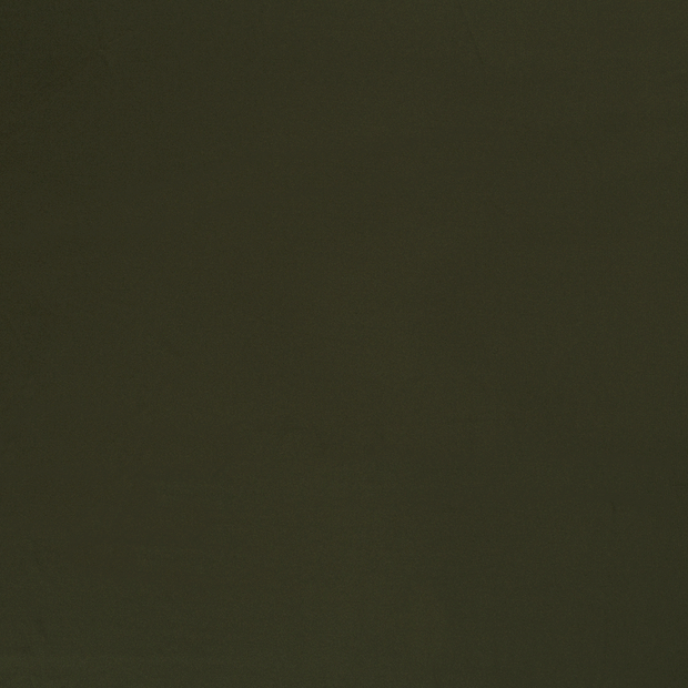 Sportswear Jersey fabric Khaki Green silk matte