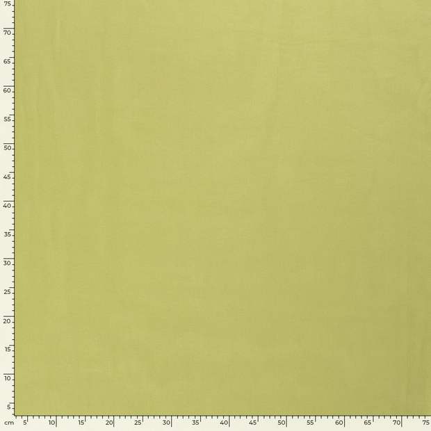 Canvas fabric Unicolour Mint