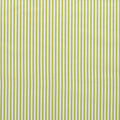Cotton Poplin printed Stripes Lime Green