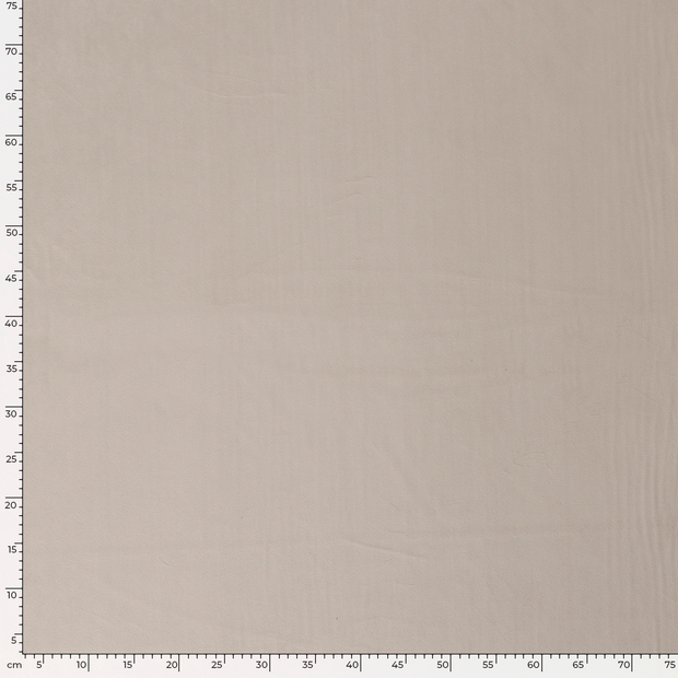 Velvet fabric Unicolour Beige