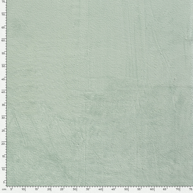 Coral Fleece fabric Unicolour Mint