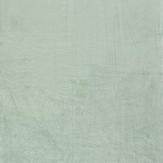 Coral Fleece fabric Mint soft 