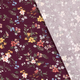 20195/019
