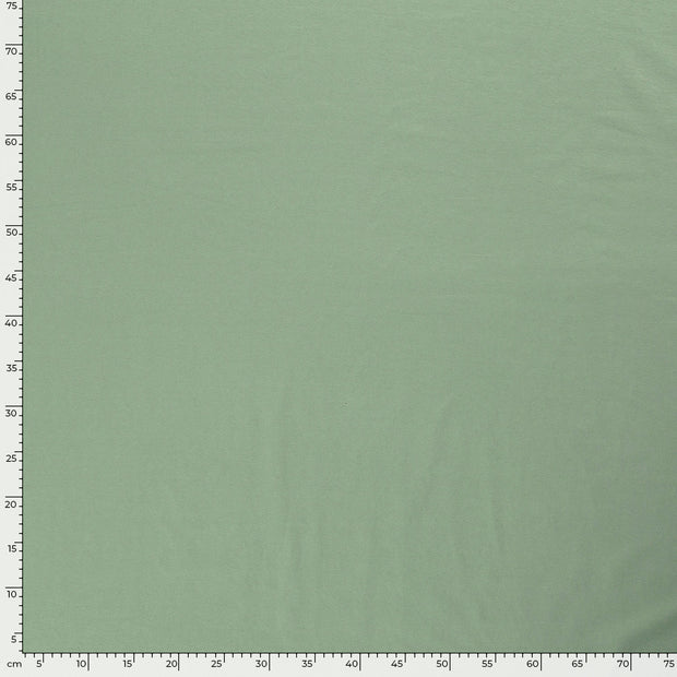 Cotton Jersey fabric Unicolour Dark Mint