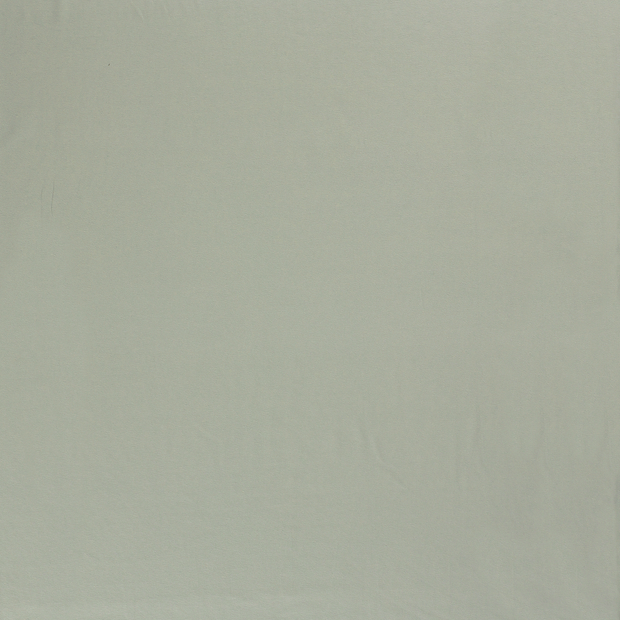 Cotton Jersey GOTS organic fabric Mint matte 