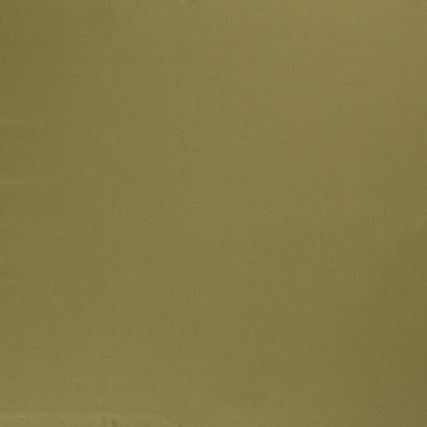 Viscose Jersey fabric Olive Green 
