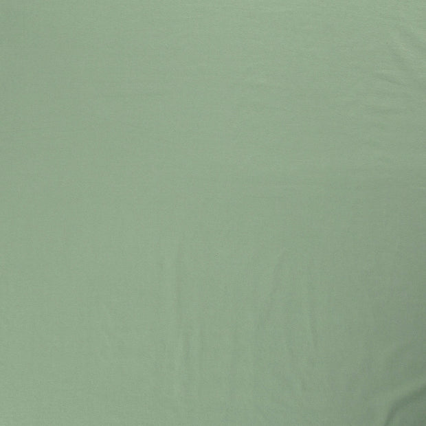 Cotton Jersey fabric Dark Mint 