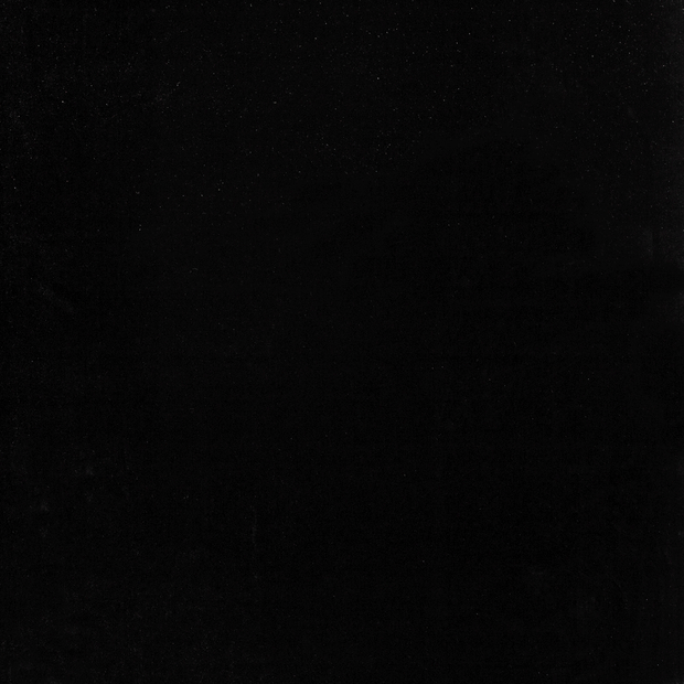 Velvet fabric Black slightly shiny 