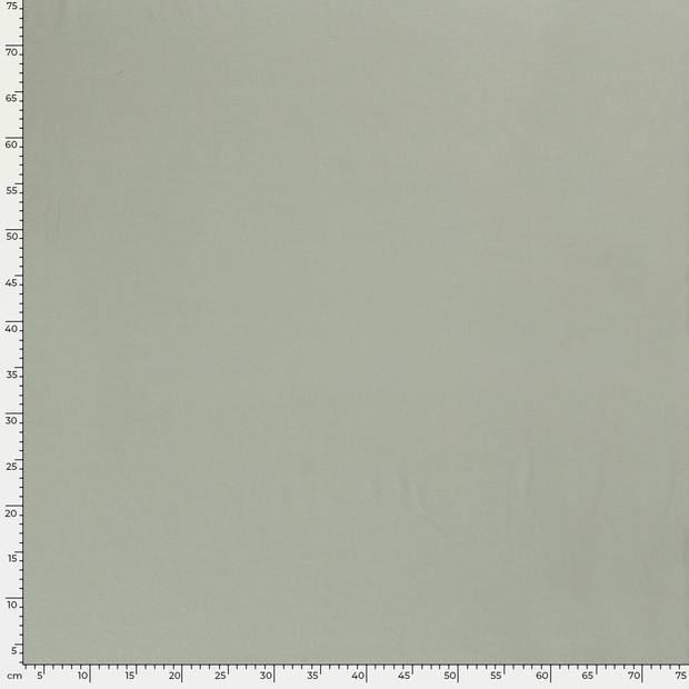 Cotton Jersey GOTS organic fabric Unicolour Mint