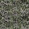 20097/025