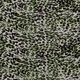 20097/025