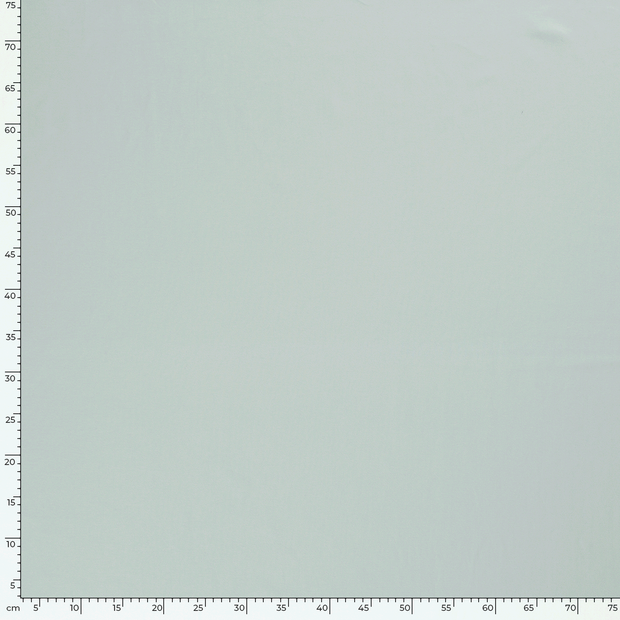 Cotton Jersey fabric Unicolour Ice Mint