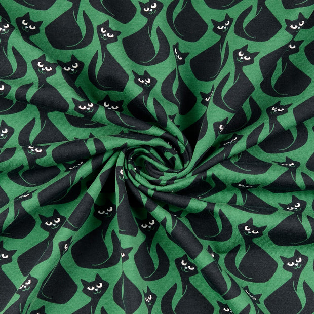  tissu Vert 