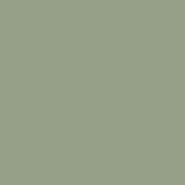 Knitted fabric Unicolour Olive Green