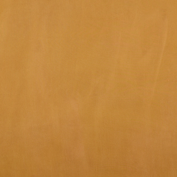  fabric Unicolour Beige