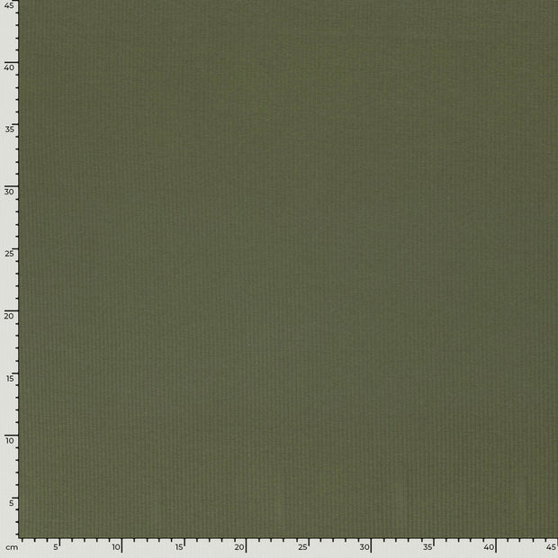 Rib Jersey fabric Unicolour Forest Green
