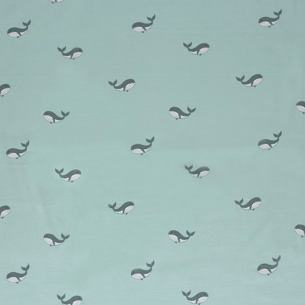 Jersey fabric Baby Blue soft 