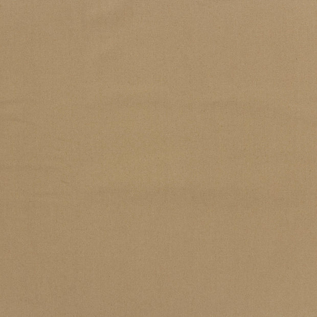 Canvas fabric Beige 