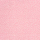 21670/037