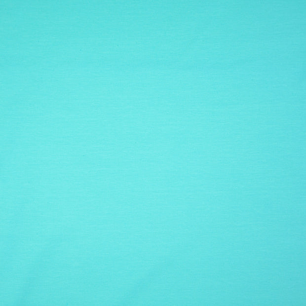 Jersey fabric Mint 