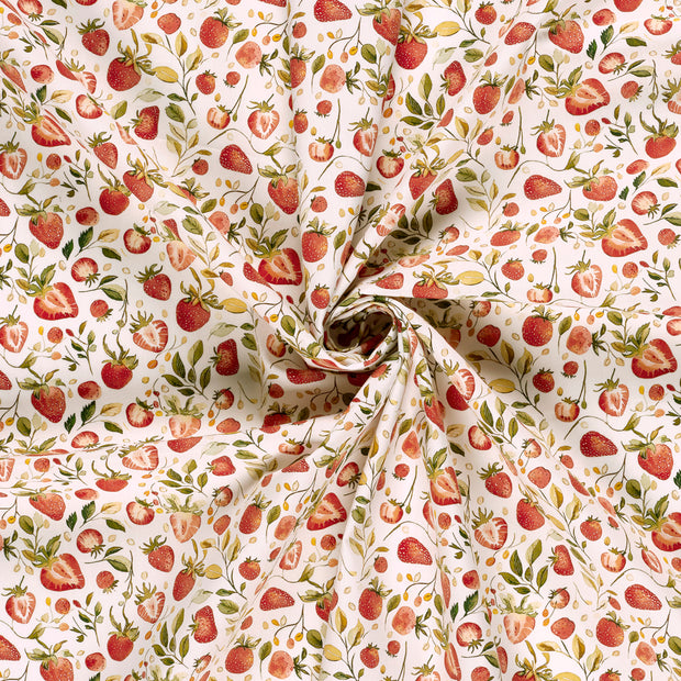 Cotton Poplin fabric  