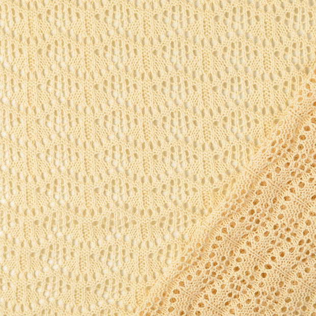 Dentelle tissu Nude fil teint 