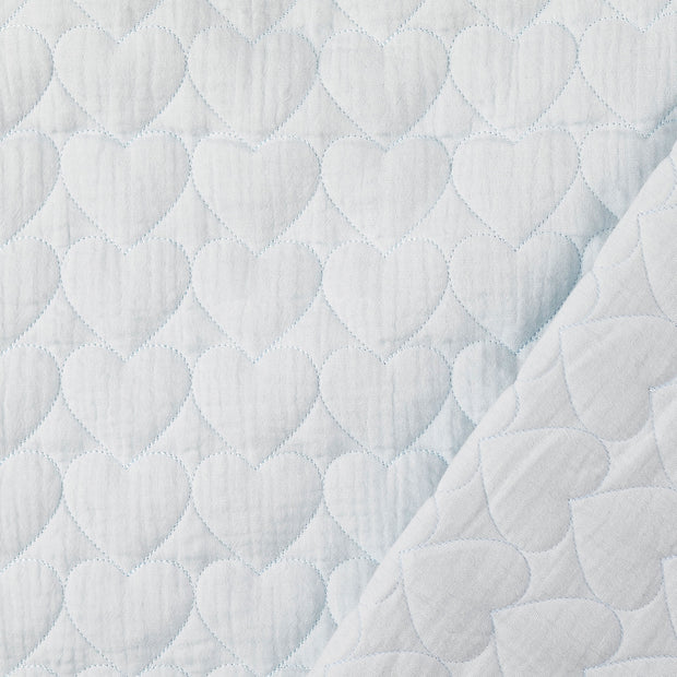  fabric Sky Blue embroidered 