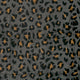 24373/068