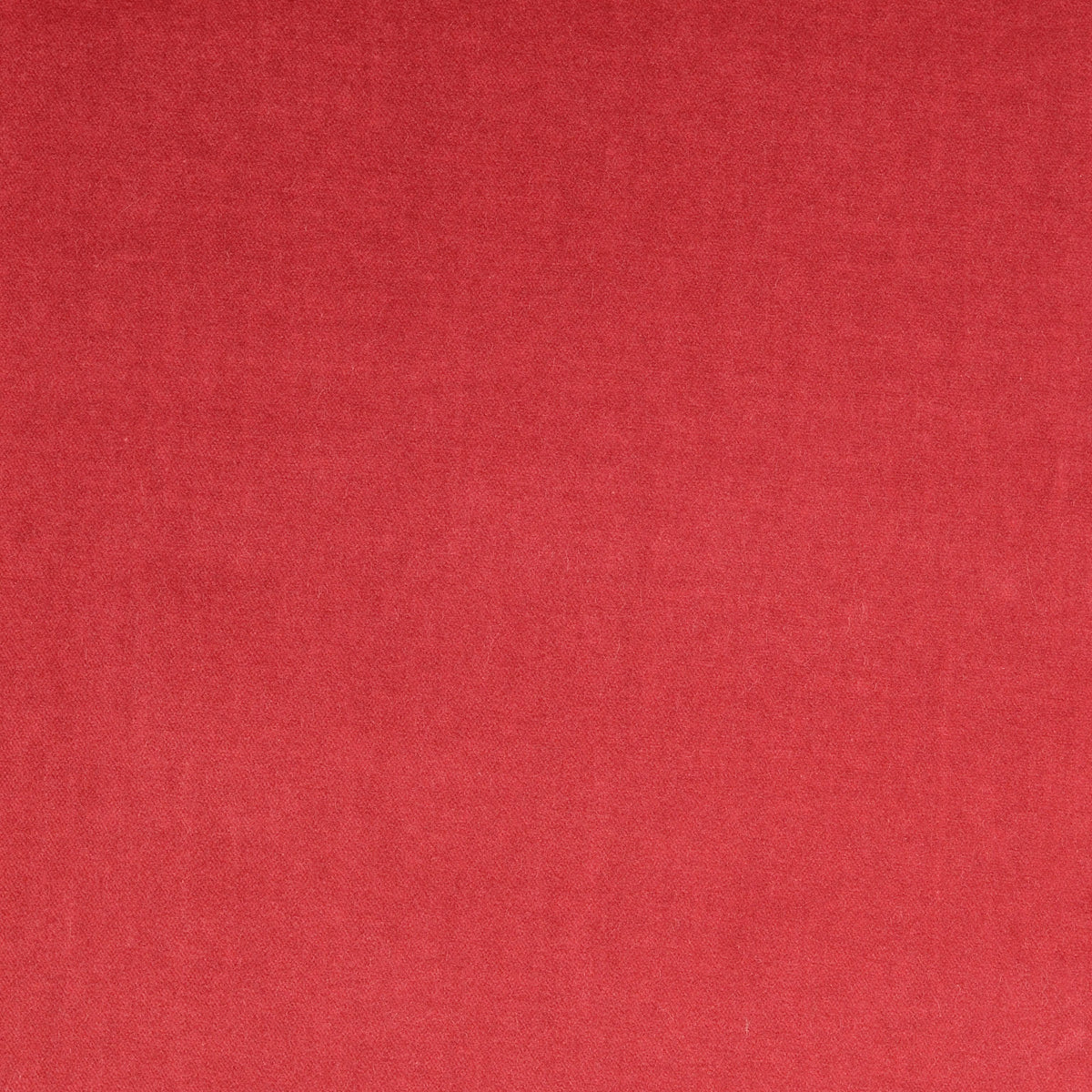 Rode Velur Rol Velours Stof Effen Rood | Stoffen groothandel | Nooteboom Textiles