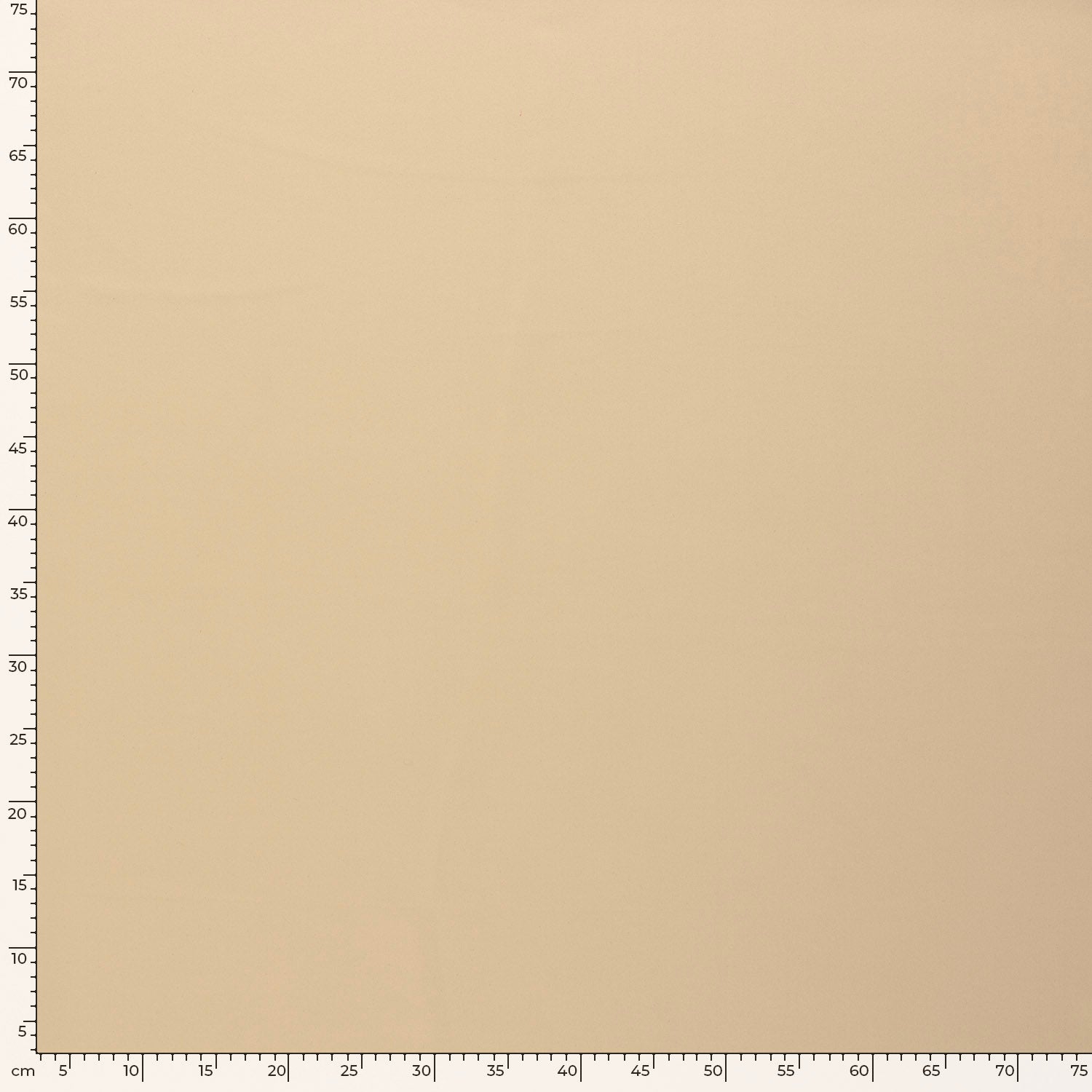 Dimout fabric Unicolour Beige | Wholesale fabrics | Nooteboom Textiles