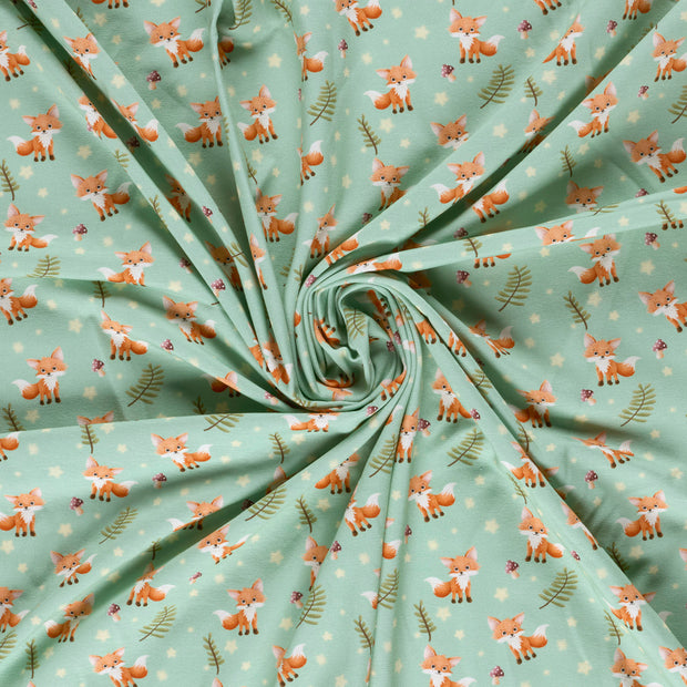 Jersey fabric Mint digital printed 