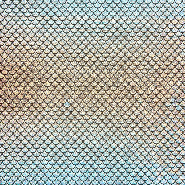 Lamé tissu Argent enduit 